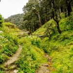 Jalori Pass Places to visit in Kullu, Himachal Pradesh