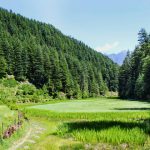 Pundrik Rishi Lake Trek and Sightseeing in Kullu, Himachal Pradesh
